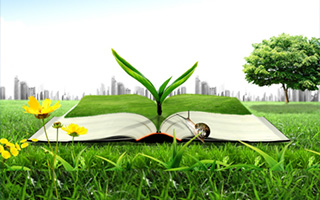 大型小黄鸭视频网站厂家